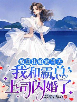 被赶出娘家当天我和霸总上司闪婚了 被赶出娘家当天我和霸总上司闪婚了