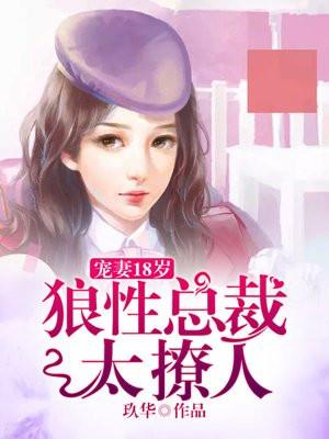 狼性总裁宠妻有道免费阅读