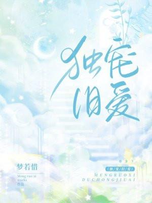 独宠旧爱陆少的秘密正版