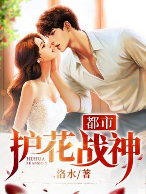 都市护花战神李航