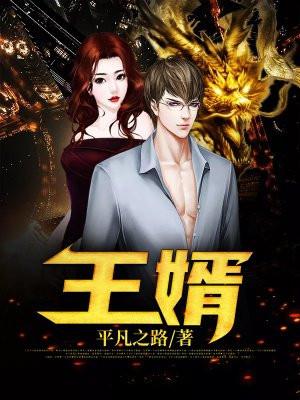 王婿叶凡唐若雪