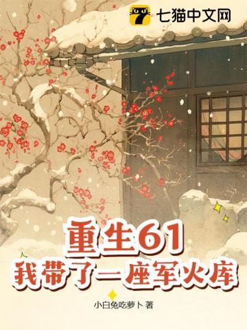 带着仓库重生六零军婚 带着仓库重生六零军婚