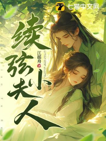 续弦小夫人纵横 续弦小夫人纵横