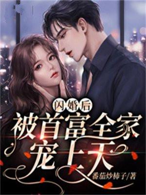 闪婚后被首富全家宠上天夏晨歌