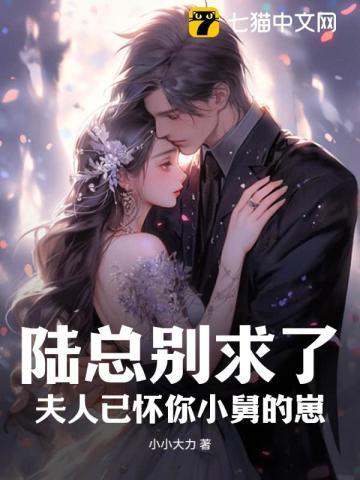 陆总别虐了 陆总别虐了