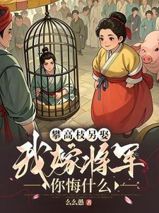 我嫁将军你悔什么世界观