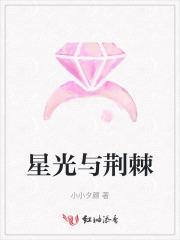 荆棘众中窥见星光