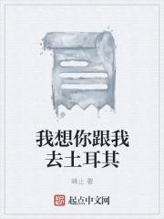 我想和你去土耳其