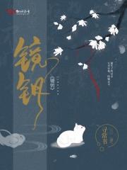 镜钥匙镜片怎么样 镜钥匙镜片怎么样