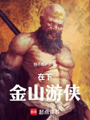 在下金山游侠 在下金山游侠