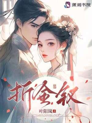 折金钗叶阳岚全文免费阅读最新章节 折金钗叶阳岚全文免费阅读最新章节