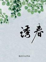 诱哄全文免费阅读无弹窗