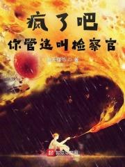 你管这叫检察官txt 你管这叫检察官txt