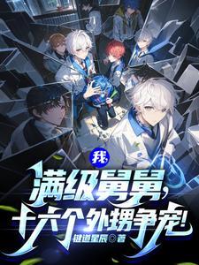 十六个外甥争宠动画