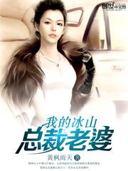 我的冰山总裁老婆林枫