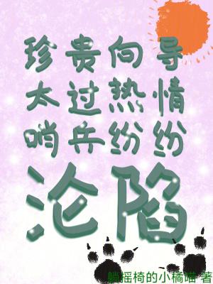 向导哨兵h文向导五级 向导哨兵h文向导五级