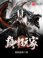 巅峰玩家txt资源