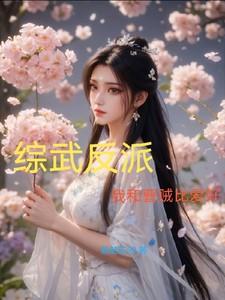 综武反派我和曹贼比爱好剧情介绍