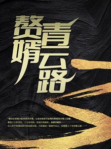 赘婿青云路最新章节更新