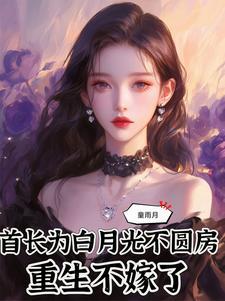 重生不嫁了动漫