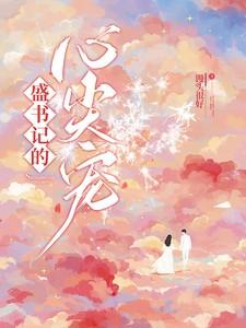 盛书记的心尖宠完结版