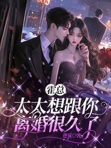 霍总太太想跟你离婚很久了txt