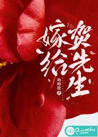 嫁给霍先生 嫁给霍先生