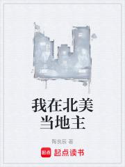 我在北美当地主阅读