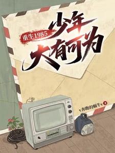 重生到1985 少年大有可为