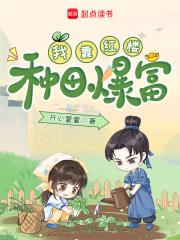 我靠红楼发家致富