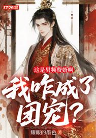 男频赘婿是什么意思