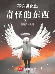 不能进化的精灵