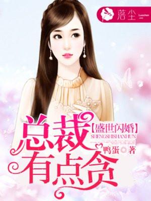 盛世闪婚总裁有点贪完整版