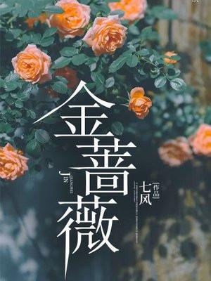 金蔷薇讲了什么故事