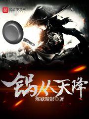 锅从天降剧情 锅从天降剧情