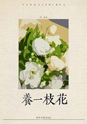 社恐日常 社恐日常