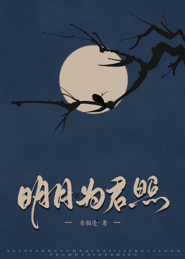 明月照君来综武侠全文