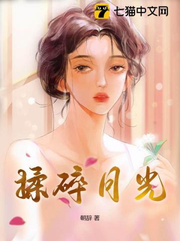 揉碎月光坠入星河笔趣阁最新章节更新内容