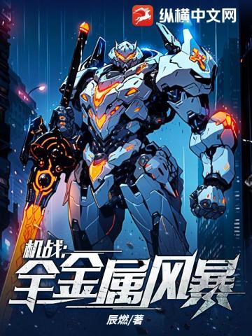 机战:全金属风暴 机战:全金属风暴
